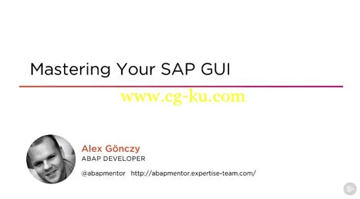 Mastering Your SAP GUI的图片1