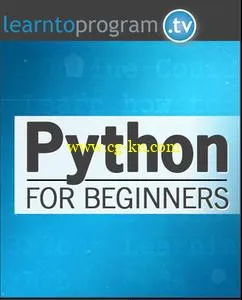 Python for Beginners的图片1