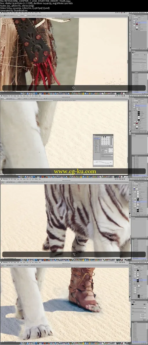 Erik Almas Photoshop Case Study – The Desert Tiger的图片2