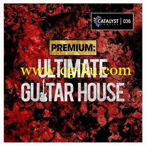 Catalyst Premium Ultimate Guitar House WAV MiDi的图片1