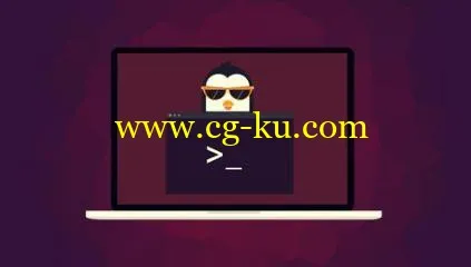 Ubuntu Web Development Setup的图片1