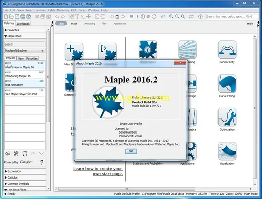 Maplesoft Maple 2016.2的图片1