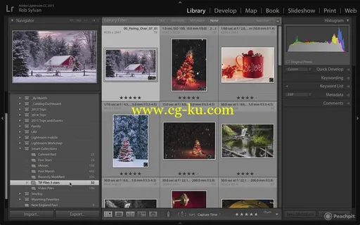 Adobe Photoshop Lightroom CC (2015 release) / Lightroom 6: Learn by Video的图片3