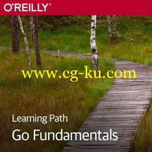 Learning Path: Go Fundamentals的图片1