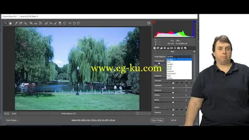 Adobe Photoshop CC Advanced for Photographers的图片2