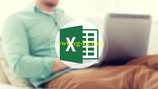 Introduction to Excel 2013的图片2