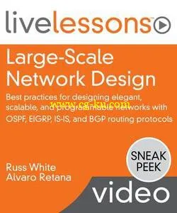 Large-Scale Network Design的图片1