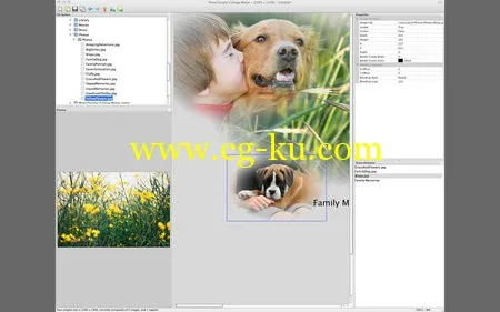 PhotoTangler Collage Maker 2.1  MacOSX的图片1