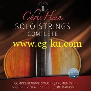 Best Service Chris Hein Solo Strings Complete KONTAKT的图片1