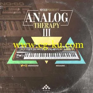 MSXII Sound Analog Therapy 3 WAV的图片1