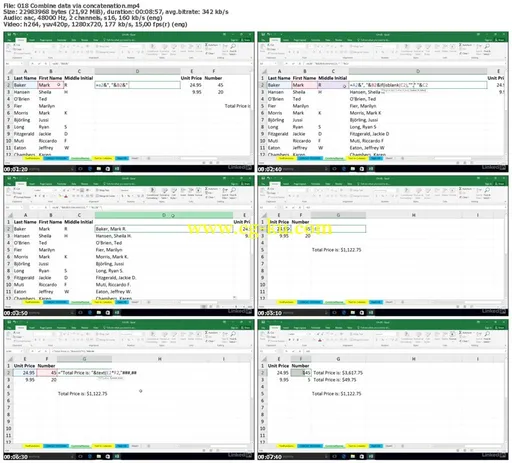 Lynda – Excel 2016: Cleaning Up Your Data的图片2