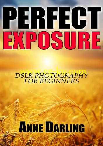 Perfect Exposure: DSLR Photography for Beginners-P2P的图片1