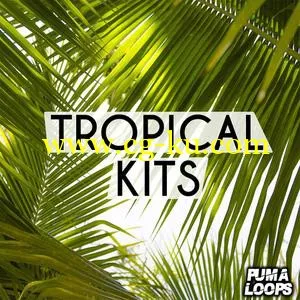 Puma Loops Tropical Kits WAV MiDi的图片1