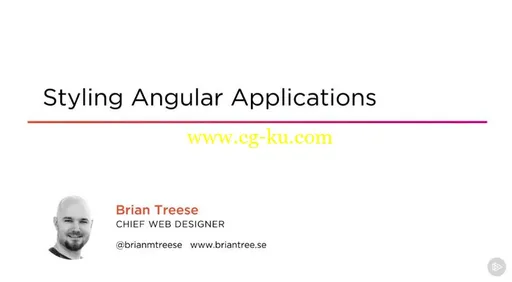 Styling Angular Applications的图片1