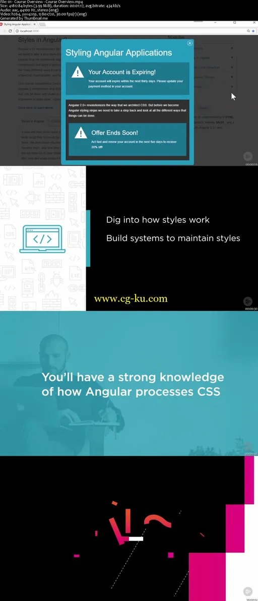 Styling Angular Applications的图片2