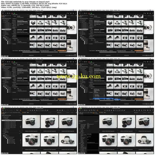 Lynda – Advanced Capture One Pro: Library Management的图片2