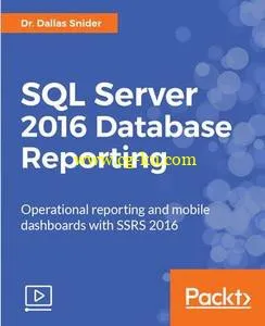 SQL Server 2016 Database Reporting的图片1