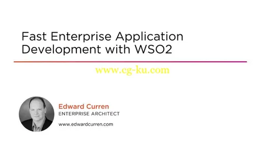 Fast Enterprise Application Development with WSO2的图片1