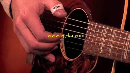 Delta Blues Guitar: From Dockery Plantation的图片2