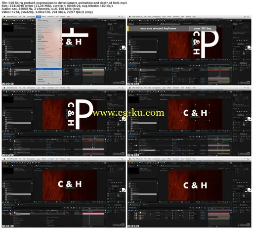 Lynda – After Effects Guru: Creating Presets and Controllers的图片1