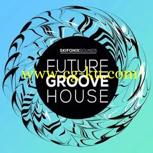 Skifonix Sounds Future Groove House WAV MiDi MASSiVE的图片1