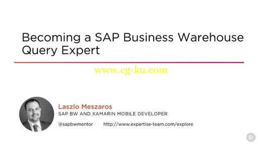 Becoming a SAP Business Warehouse Query Expert (2017)的图片1