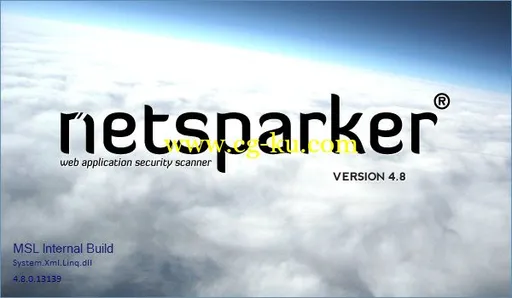 Netsparker Professional Edition 4.8.0.13139的图片1