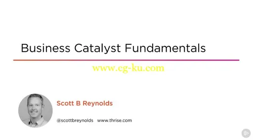 Business Catalyst Fundamentals的图片2