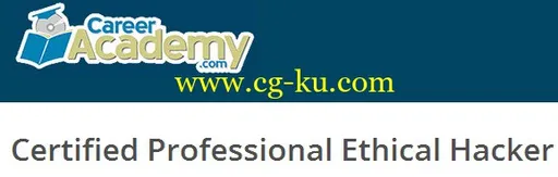 Certified Professional Ethical Hacker的图片1