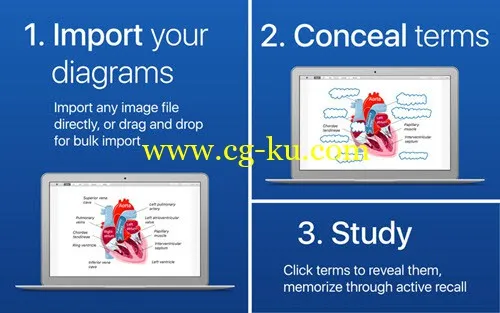 Flashcards for Diagrams 2.2.1 MacOSX的图片1