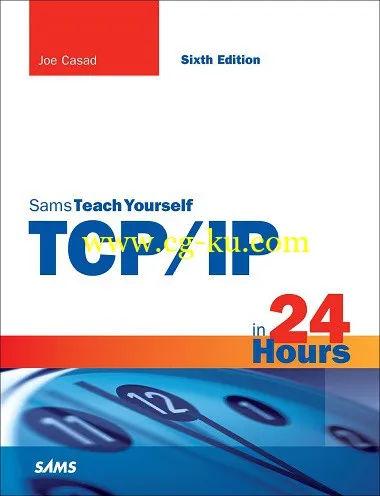 TCP/IP in 24 Hours, Sams Teach Yourself 6th Edition by Joe Casad-P2P的图片1