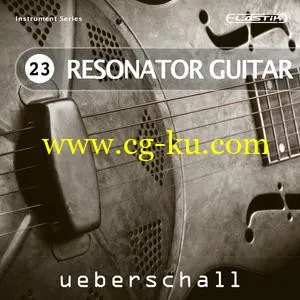 Ueberschall Resonator Guitar ELASTIK的图片1