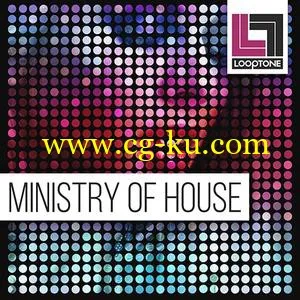 Looptone Ministry of House MULTiFORMAT的图片1