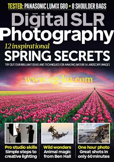 Digital SLR Photography – April 2017-P2P的图片1