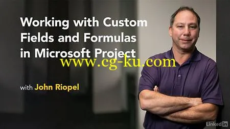 Lynda – Working with Custom Fields and Formulas in Microsoft Project的图片1