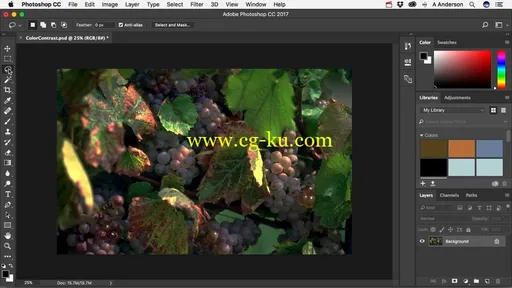 Learn to Use Photoshop CC 2017的图片3