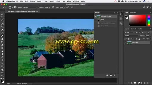 Learn to Use Photoshop CC 2017的图片4