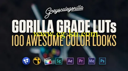 Greyscale Gorilla – Gorillla Grade LUTs Win/Mac的图片1