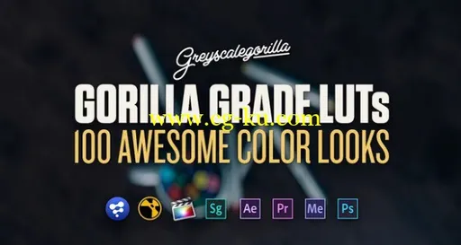 GreyScaleGorilla – Grade LUTs的图片1