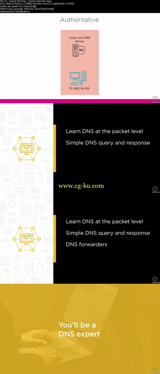 Deep Dive: Domain Name Service (DNS)的图片2