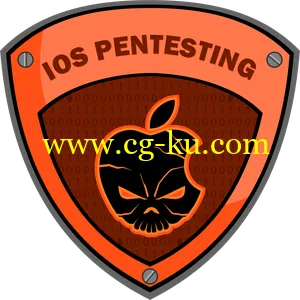 iOS Application Security的图片2