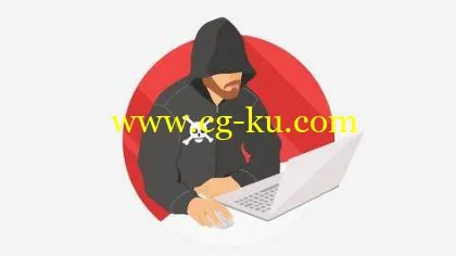 Bug Bounty : Web Hacking的图片1