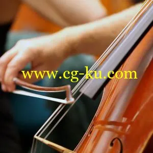 ProjectSAM Orchestral Ensemble Essentials v9.1 ALP的图片1