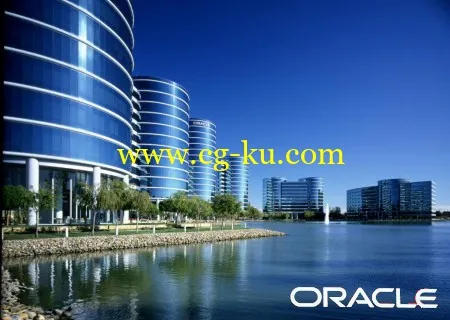 Oracle Database 11gR2 (patchset 11.2.0.4)的图片1