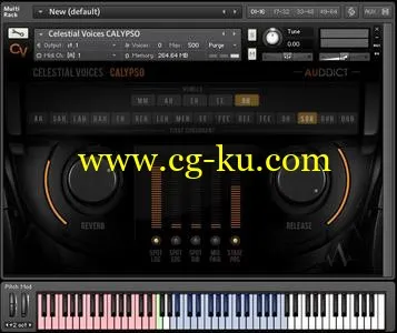 Auddict Celestial Voices Calypso KONTAKT的图片1