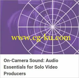 On-Camera Sound: Audio Essentials for Solo Video Producers的图片1