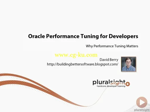 Oracle Performance Tuning for Developers的图片1