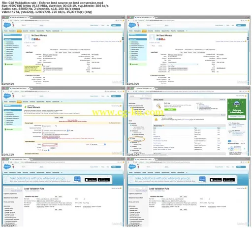 Lynda – Salesforce Workflows: Leads的图片2