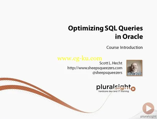 Optimizing SQL Queries in Oracle的图片1