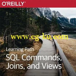 Learning Path: SQL Commands, Joins, and Views的图片1